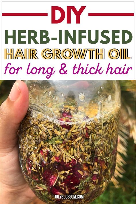 Infusing Herbs In Oil, Essential Oil Blends For Hair Growth, Herb Hair Growth Oil, Herb For Hair Growth, Diy Herbal Oil For Hair Growth, Herbs For Hair Growth Oil, How To Extract Oil From Herbs, Oil Infused Herbs, Hair Growth Oil Diy Recipes