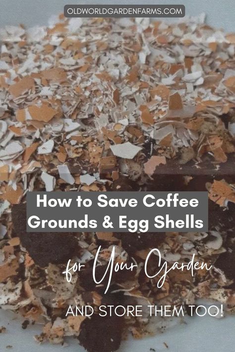 Finley ground egg shells mixed with used coffee grounds - both of which are great for use in compost piles, gardens, and flowerbeds. From oldworldgardenfarms.com. Home Vegetable Garden, Garden Soil, Garden Fertilizer, Container Gardening Vegetables, Garden Compost, Fertilizer For Plants, Vegetable Garden Planning, Coffee Grounds For Plants, Egg Shells In Garden