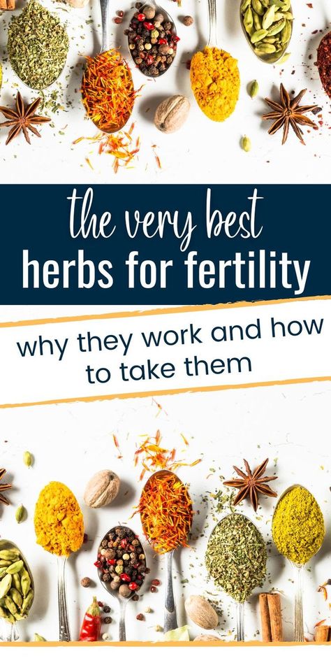 Herbs For Fertility, Fertility Health, Fertility Spells, Fertility Tea, Fertility Diet, Fertility Nutrition, Fertility Diet Recipes, Vitamins For Women, Natural Fertility