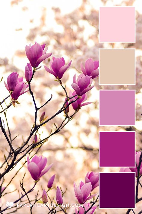 Photo of magnolia blooming in spring with a color palette overlay in shades of pink and tan by Paper Heart Design Vintage, Colour Schemes, Spring Color Palette, Color Schemes Colour Palettes, Color Palette Pink, Color Palette Bright, Spring Colors, Color Palate, Color Schemes