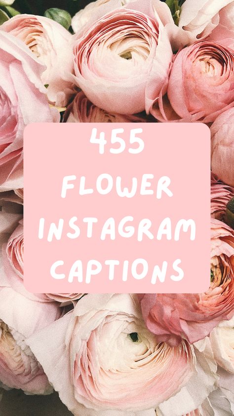 Diy, Happiness, Glow, Ideas, Instagram, Flower Captions For Instagram, Caption For Flowers, Bloom Quotes, Flowers Instagram