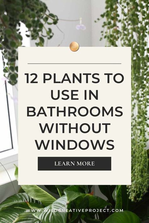 Gardening, Home Décor, Plant Care Houseplant, Shower Plant, Plants In Bathroom, Plant Care, Growing Plants Indoors, Best Bathroom Plants, Growing Plants