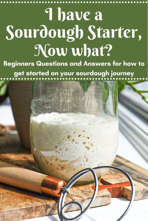 I Have a Sourdough Starter, Now What? Desserts, Muffin, Recipe Using Sourdough Starter, Sourdough Starter Discard Recipe, Sourdough Starter, Sourdough Starter Recipe, Best Sourdough Starter Recipe, Homemade Sourdough Bread, Sourdough Bread Starter