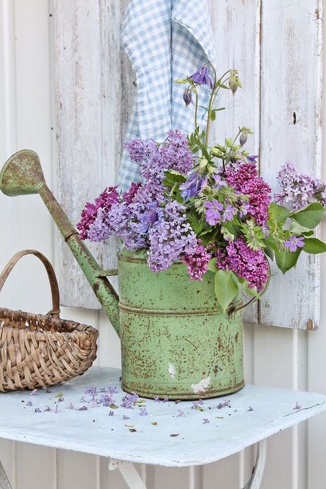 beautiful watering can with lilacs rustic wedding decor ideas Flowers, Plants, Floral, Spring Decor, Bloemen, Beautiful Flowers, Hoa, Pretty Flowers, Love Flowers