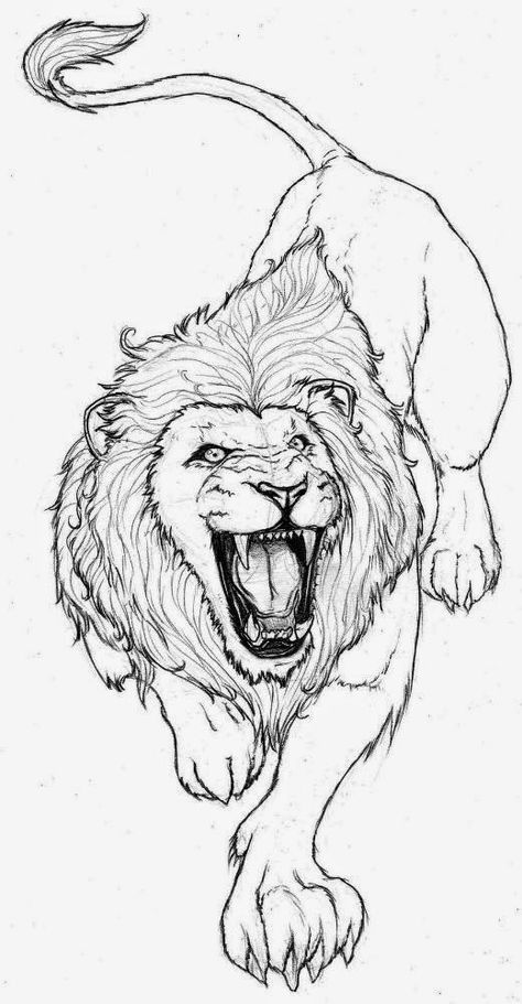 Belagoria: Tatuajes de leones y Diseños de regalo Lion Tattoo Design Feminine Small, Lion Art Drawing, Lion Drawings, Tato Suku, Lion Art Tattoo, Art Du Croquis, Lion Sketch, Kunst Tattoos, Lion Drawing