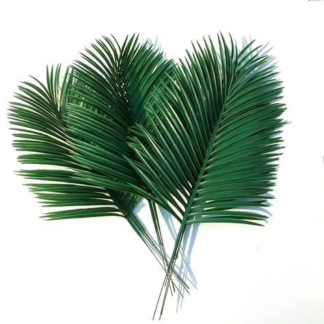 image Palmas, Artificial Palm Leaves, Flower Decorations, Silk Tree, Artificial Flowers Wedding, Palm Leaves, Plant Leaves, Flower Wreath, Leaf Flowers