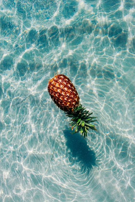pineapple Summer, Fotos, Beautiful, Resim, Fotografie, Background, Fotografia, Ilustrasi, Picture