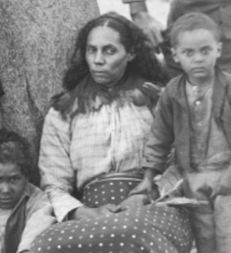 New DNA Proves African Americans Are In Fact Indigenous Aborigines Of America – ImJustHereToMakeYouThink Motivation, Indigenous North Americans, Indigenous Americans, Black History Education, Black History Facts, American Indian History, Black History, Black History Books, African