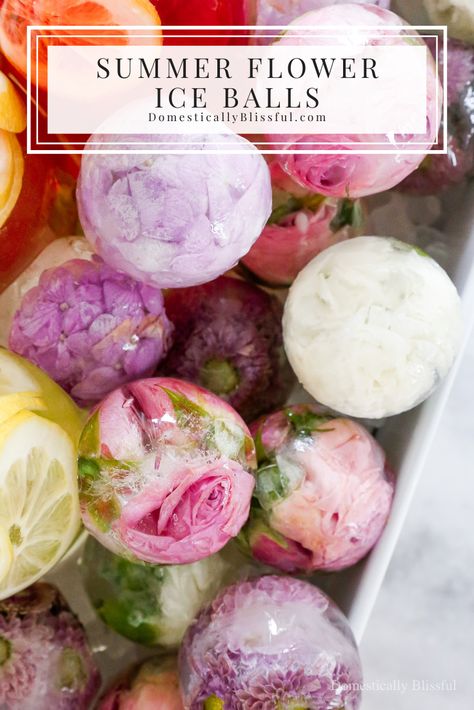 Summer Flower Ice Balls - Domestically Blissful. DIY Party hack, summer party ideas. Flowers in ice, elegant drink station, and farmhouse decor. Lemonade, strawberry lemonade, homemade flower ice balls, flower ice cubes. Brunch, Parties, Floral Ice Cubes, Water Party, Tea Party, Flower Ice Cubes, Fruit Ice Cubes, Fruit Ice, Strawberry Lemonade