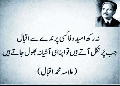 Iqbal Poetry Image Quotes, Urdu Quotes With Images, Simple Love Quotes, Urdu Quotes Images, Iqbal Quotes, Iqbal Poetry, Urdu Funny Poetry, Iqbal Day Quotes, Cute Romantic Quotes