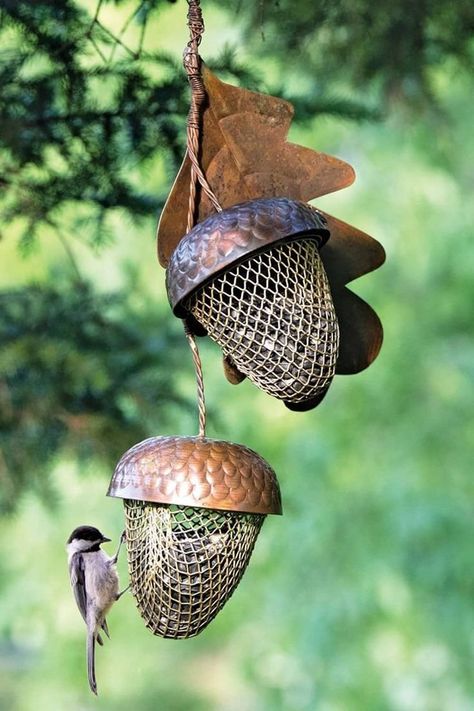 Attract some hungry feathered friends and possibly some giant killer squirrels to your backyard with these nature-inspired acorn bird feeders. Garden Supplies, Outdoor, Bird Feeders, Diy Bird Feeder, Humming Bird Feeders, Bird Houses, Bird House, Wild Bird Feeders, Bird Seed