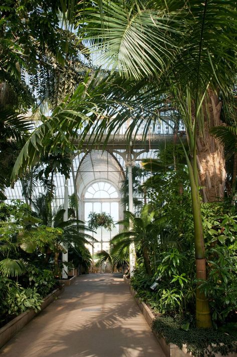 Interior, Nature, Outdoor, Garden Room, Beautiful Gardens, Nature Garden, Gorgeous Gardens, Garden Plants, Kew Gardens