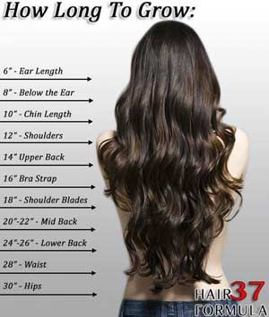 Hair Growth Calculator | How to Make Your Hair Grow Faster Hair Styles, Long Hair Styles, Hair Growth, Clip In Hair Extensions, Synthetic Hair, Hair Lengths, Curly Hair Styles, Natural Hair Styles, Hair Hacks