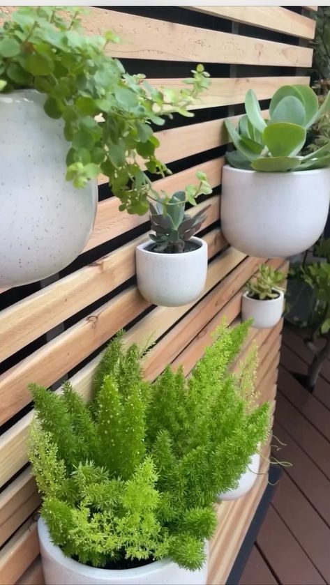 Emily and Lucas on Instagram: "DIY Slatted Plant Wall Tutorial 🪴 You guys asked for it! Here it is! Super easy and affordable, and minimal tools needed! 👍🏻 👉 Here’s wha…" Gardening, Design, Indore, Diy Wall Planter, Wood Planters, Wall Planters Outdoor, Vertical Garden Wall, Indoor Plant Wall, Wall Planter