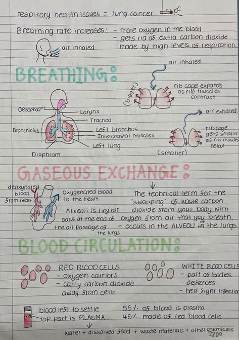 Explanation of breathing, gaseous exchange, blood circulation, blood cells, etc Biology Lessons, Physiology, Cardiovascular, Blood Circulation, Medical School, Medical School Studying, Medical Student Study, Medical School Motivation, Medical School Stuff