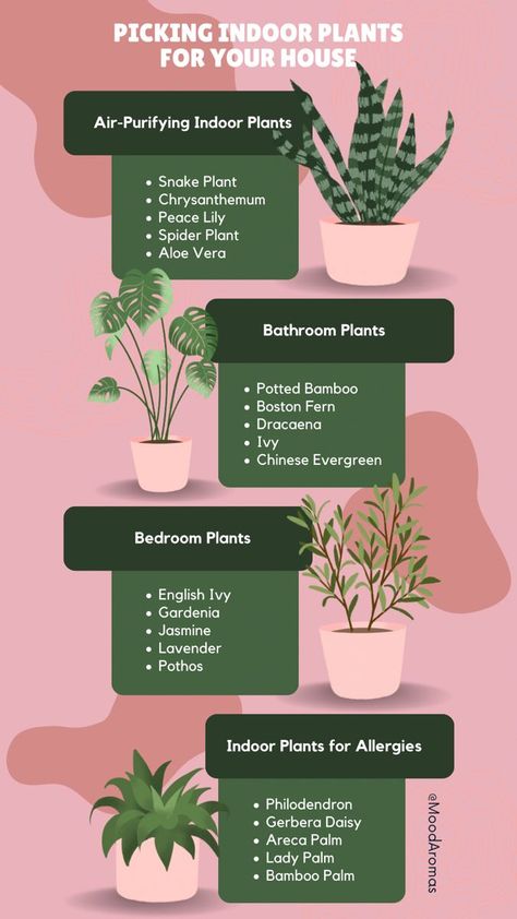 [PaidLink] Add Life To Your Home With Indoor Plants. Improve Your Mood And Air Quality At The Same Time! #lowlighthangingindoorplants Gardening, Best Plants For Bedroom, Indoor Plant Care, Best Indoor Plants For Beginners, Best Indoor Plants, Indoor Plants Styling, Indoor Plants Low Light, Indoor Air Purifying Plants, Indoor Plants Bathroom