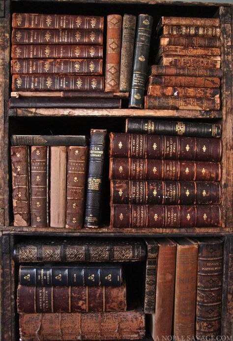 #books #library #wallpaper #iphone Vintage, Old Books, Films, Libraries, Book Aesthetic, Library Books, Vintage Books, Dark Academia Aesthetic, Book Nooks