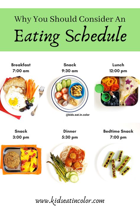 I strongly recommend that parents provide a meal schedule or routine and decide when their kids will eat. ⁠⠀ ⁠⠀ When kids eat a lot of times throughout the day, it increases their risk of cavities and can lead to them either eating too much or not enough for their body. It makes it harder for them to listen to when they are hungry and full. Eating on a schedule though, leads to better eating and less picky eating!  ⁠⠀ Want more deets about eating schedules? I wrote all about it on my blog. Healthy Eating, Healthy Recipes, Fitness, Meal Planning, Snacks, Nutrition, Health Food, Healthy Eating Schedule, Healthy Meal Prep