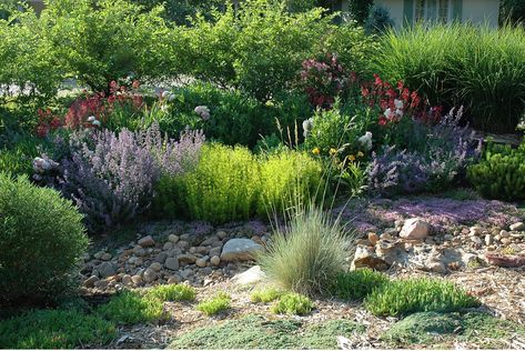 Ideas, Exterior, Interior, Colorado, Empire, Gardening, Front Garden Landscaping, Xeriscape Landscaping, Sustainable Landscaping