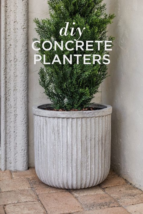 Diy, Design, Diy Cement Planters, Diy Concrete Planters, Cement Pots Diy, Concrete Planters Diy Cement, Concrete Diy Projects, Diy Planters Pots, Concrete Planters