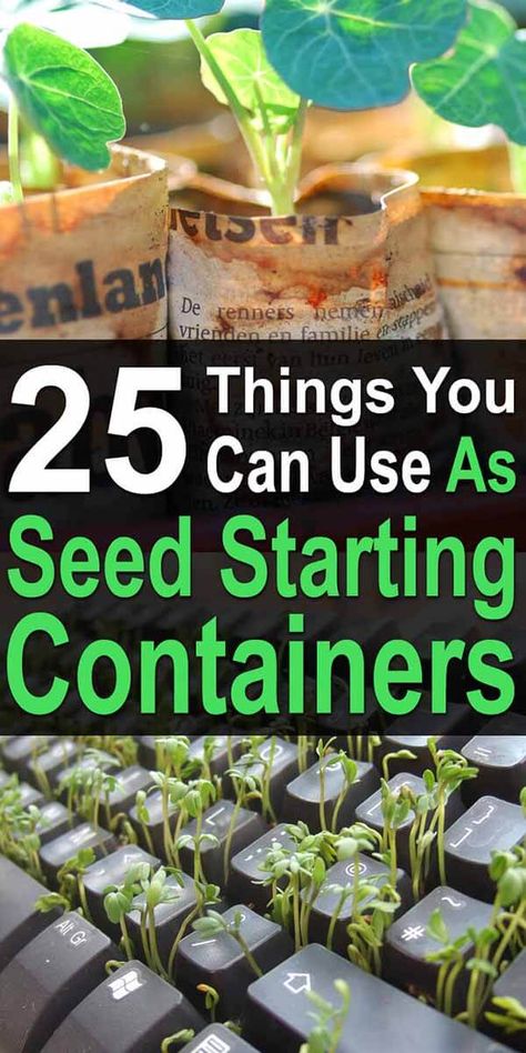 Frugal homesteaders repurpose just about everything, and seed starting containers should be no exception. Look for flexible containers that allow you to squeeze them when it comes time for planting. #homesteadsurvivalsite #startingseeds #seedstartingcontainers #gardeningcontainers #seeds Seed Starting, Gardening, Homestead Survival, Planting Seeds, Container Gardening, Ideas, Fruit, Seed Starting Containers, Seed Planter