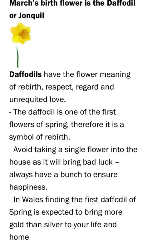 Ayurveda, Inspiration, Nature, Ideas, Art, Tattoos, March Birth Flowers, Daffodil Day, Flower Meanings