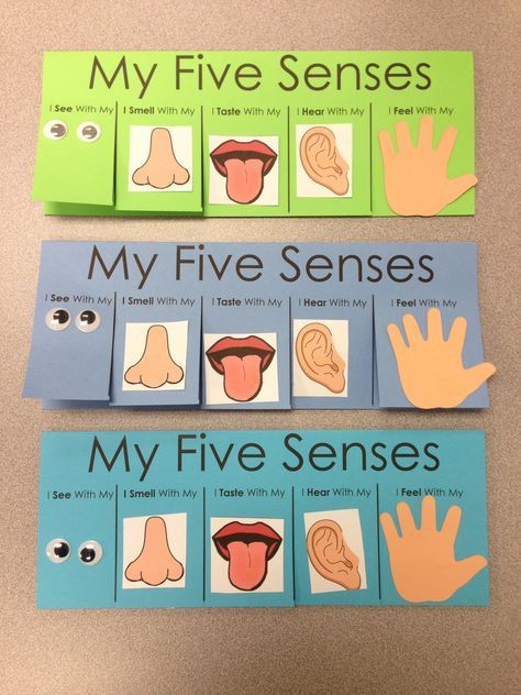 Montessori, Senses, 5 Senses Activities, 5 Senses Preschool, Senses Activities, Senses Preschool, My Five Senses, Five Senses Preschool, Logic