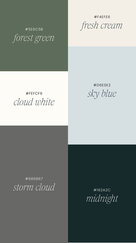 Pantone, Web Design, Website Color Schemes, Brand Color Palette, Website Color Palette, Brand Colors Inspiration, Brand Colors, Color Palette Design, Brand Palette