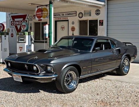 Dodge Challenger, 1970 Ford Mustang, 1969 Mustang Fastback, 2015 Ford Mustang, Ford Mustang 1969, Ford Mustang Fastback, Ford Mustang Car, Ford Mustang Gt, Ford Mustang