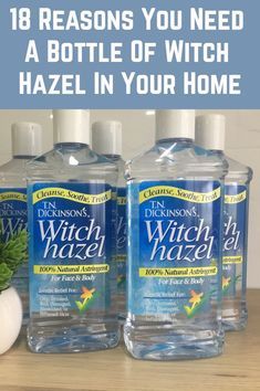 Life Hacks, Useful Life Hacks, Witch Hazel Uses, Uses For Witch Hazel, Uses Of Witch Hazel, Witch Hazel, Natural Healing, Seasickness Remedies, Natural Cleaners
