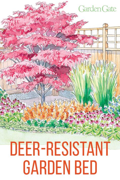 Combat deer from eating your garden by planting flowers, trees & grasses they don't like! Check out our planting plan that works great along a deer fence #Deer #GardenDesign #DeerGardenFence #GardenPlan #GardenTip #GardenGateMagazine Gardening, Home Décor, Outdoor, Shaded Garden, Deer Resistant Garden Plans, Deer Resistant Garden, Deer Resistant Garden Design, Deer Resistant Landscaping, Deer Resistant Landscaping Shrubs