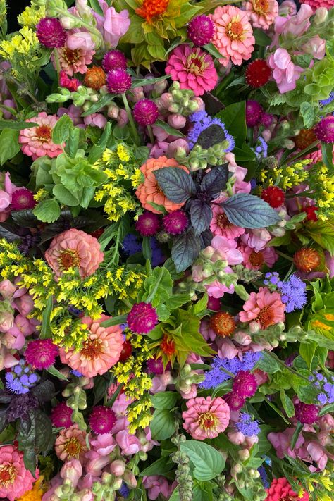 Bouquets, Layout, Instagram, Cut Flower Farm, Annual Flowers, Zinnia Bouquet, Zinnia Garden, Cut Flower Garden, Growing Cut Flowers