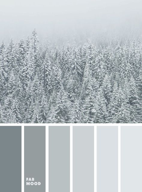 Beautiful winter color palette inspiration : Misty grey green color scheme Interior, Design, Layout Design, Green Color Schemes, Winter Color Palette, Grey Color Palette, Grey Color Scheme, Grey Color Schemes, Colour Schemes