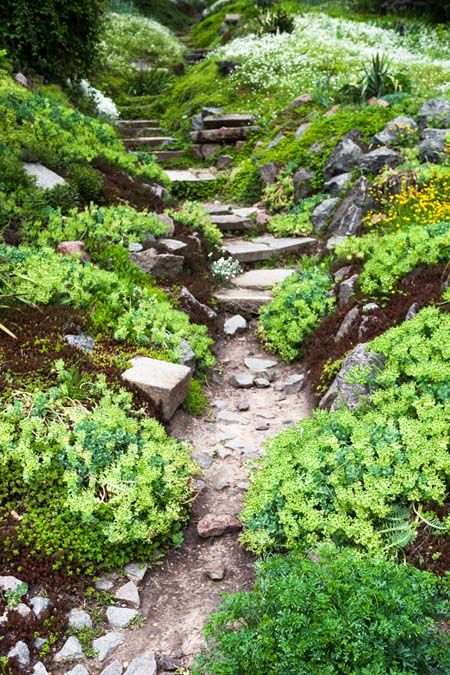 Do you have a bunch of rocks in the soil in your yard that you don't know what to do with? Make peace with what nature has provided and incorporate them into your landscape. Read on for one gardener's view of the situation. Bouldering, Nature, Seedlings, Master Gardener, Garden, Landscape Rock, Landscape, Green Garden, Paths