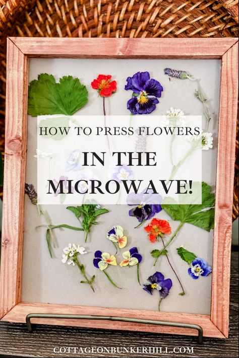 Diy, Gardening, Inspiration, Ideas, Pressed Flowers Diy, How To Dry Flowers, Pressed Flowers, Pressed Flower Craft, Microwave Flower Press