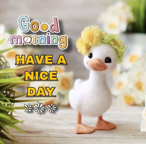 28 Beautiful super cute good morning messages full of joy and peace Nice, Good Morning Greetings, Good Morning Sunshine, Good Morning Animals, Good Morning Sunshine Quotes, Good Morning Friends, Good Morning, Good Morning Cards, Good Morning Messages
