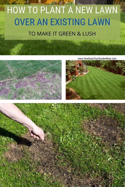 Diy, Gardening, Design, Exterior, Growing Lawn, Planting Grass Seed, Planting Grass, Reseeding Lawn, Growing Grass