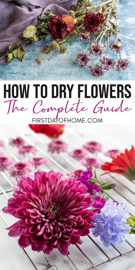 Diy, Floral, Compost, How To Preserve Flowers, Drying Roses, Drying Flowers, Dry Flowers, Dried Flowers Diy, Pressed Flowers