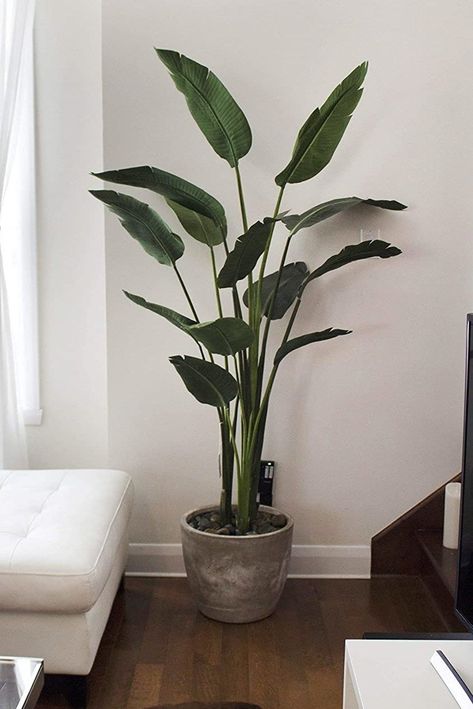 Best Fake Plants, Tall House Plants, Tall Fake Plants, Plant Decor Living Room, Living Room Plants Decor, Faux Plants Decor, Tall Indoor Plants, Birds Of Paradise Plant, Hanging Plants Outdoor