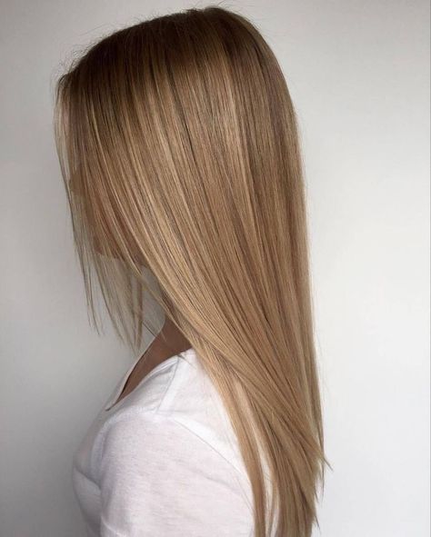 Balayage, Hairstyle, Hair Styles, Dyed Hair, Straight Hairstyles, Root Stretch, Dirty Blonde Hair, Hair Cuts, Hair Inspiration