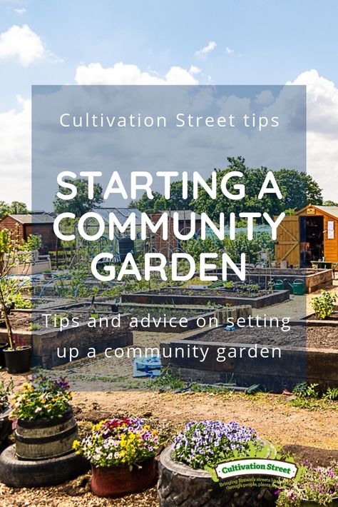Container Gardening, Outdoor, Garden Planning, Community Gardening, Community, Intentional Community, Garden Club, Garden Center, Garden Plots
