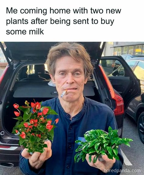 Funny Memes, Instagram, Funny Jokes, Humour, Plant Jokes, Gardening Memes, Gardening Humor, Really Funny, Funny Cute