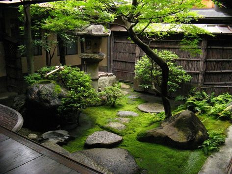 Garden Planning, Shaded Garden, Garden Design, Dream Garden, Courtyard Garden, Backyard Garden, Indoor Japanese Garden, Zen Garden Design, Indoor Garden