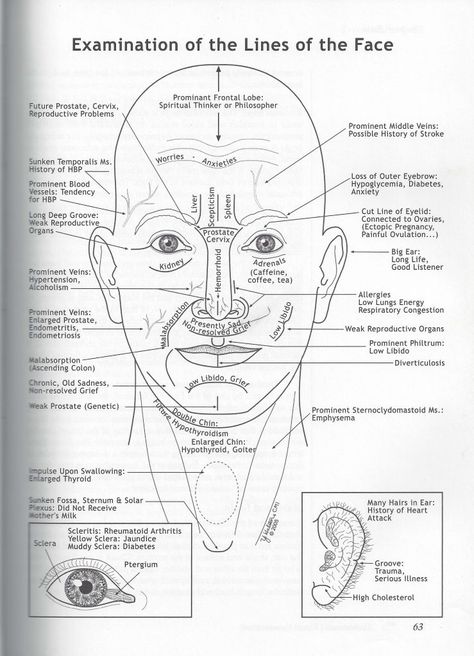 Ayurvedic Facial Diagnosis: What are the Lines on your Face Revealing about your Health? Reflexology, Acupuncture, Naturopathy, Alternative Medicine, Facial Nerve, Holistic Health, Diagnosis, Acupressure, Iridology