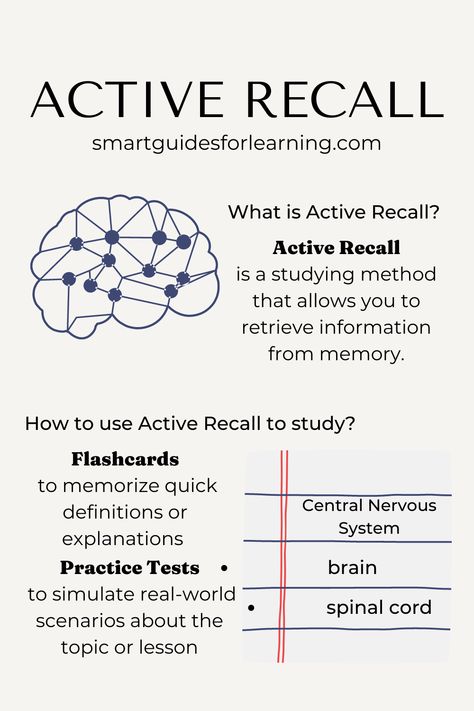 active recall brain flashcard central nervous system Organisation, Motivation, Active Learning Strategies, Learning Methods, Effective Studying, Study Skills, Exam Study Tips, Exam Study, Effective Study Tips