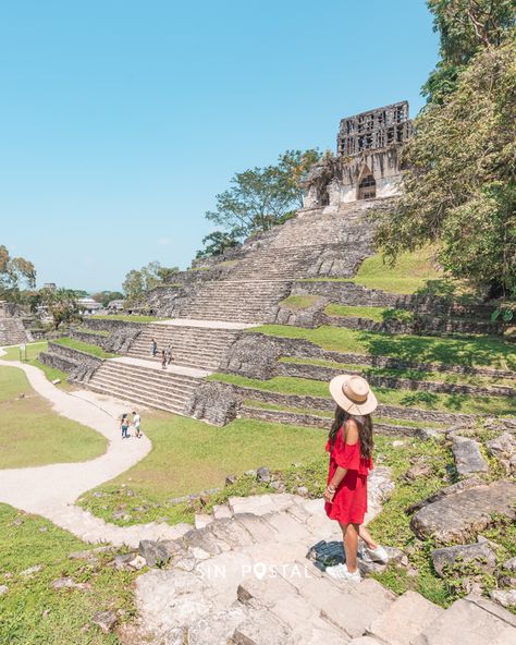 Todo lo que necesitas saber para visitar Palenque en Chiapas   #palenque #chiapas #mexico #mayas #unesco #zonaarqueologica #parquenacional Palenque, Tours, Mexico, Tikal, Camping, Trips, Guatemala, Belize, Viajes