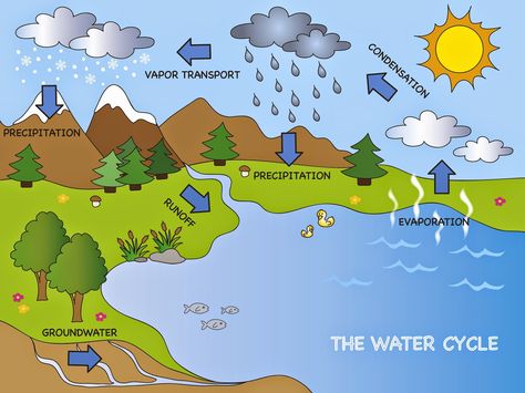 Good EARTH DAY lesson: Water Cycle infographic #KidsCreativeChaos Houston, Films, Groundwater, Water Cycle Diagram, Water Supply, Water Cycle Poster, Water Cycle, Water Cycle Project, World Water