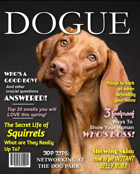 OMG - Your dog is just too adorable!! 😍 You know he's a star, so put that handsome pup on his very own personalized magazine cover! Superstar! Only from www.YourCover.com It's so easy to do... 1) Choose a template 2) Upload a photo 3) Customize the headline text #dogs #dogstagram #instadog #doglover #ilovemydog #petstagram #puppylove #dogue Dogs, Layout Design, Dog Magazine, Dog Cover Photo, Puppy Love, Dog Cover, Dog Photos, Group Of Dogs, Dog Poster