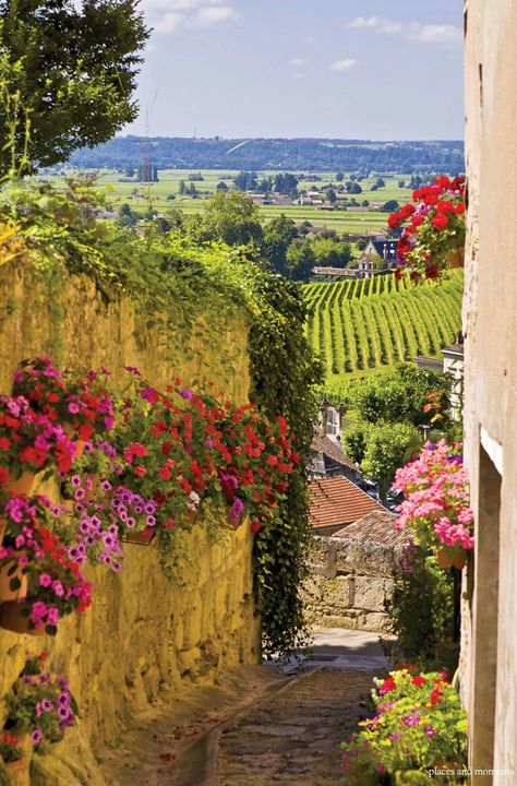 St. Emilion,Bordeaux,France. Places, Beautiful, Bunga, Turismo, Paisajes, Vin, Scenery, Fernweh, Beautiful World