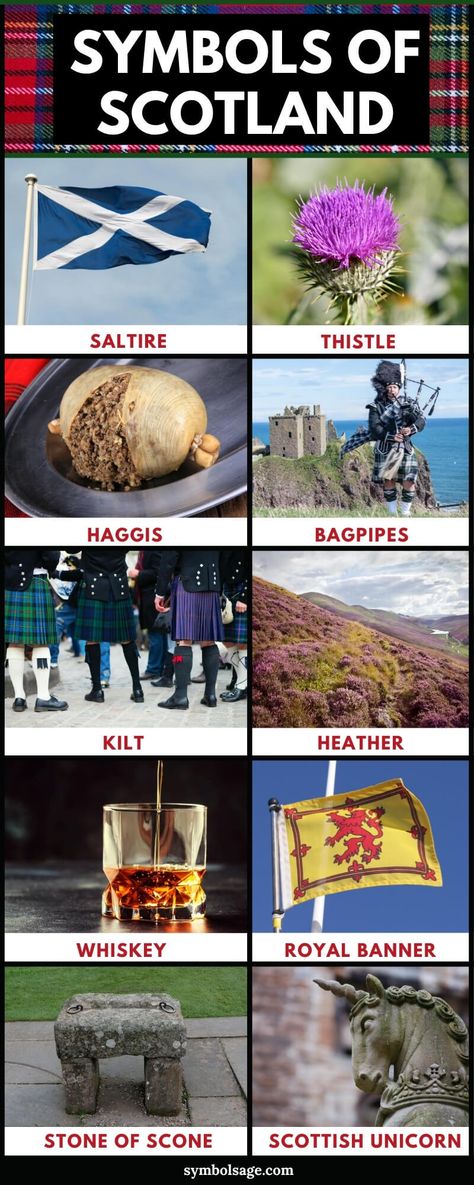 Edinburgh, Scottish Highlands, Scottish Symbols, Scottish Gaelic, Scottish Words, Scotland Symbols, Scottish Clans, Scottish Highland Games, Scottish Culture